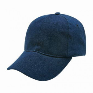 6 Panel Caps